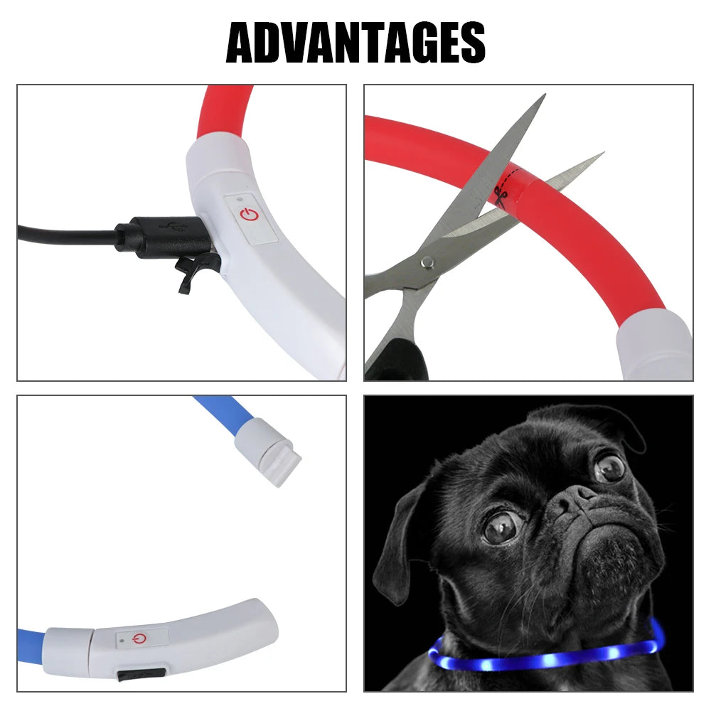 BrightPup Night Safety Collar