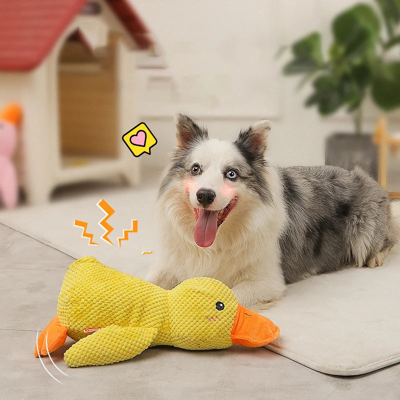 Quack Quack Duck Dog Toy Zentric Store