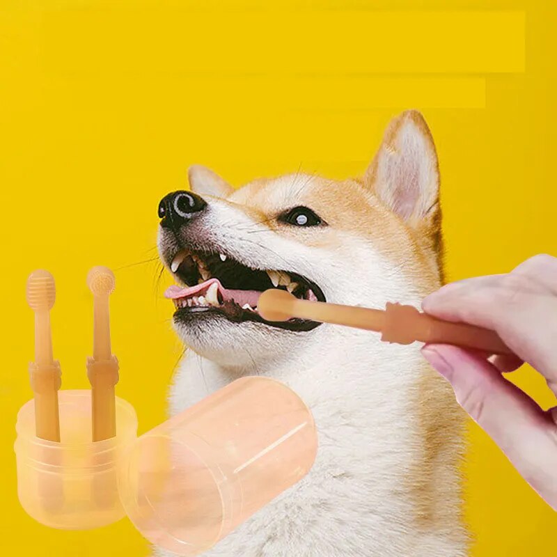 http://zentricshop.com/cdn/shop/products/Teeth-Whitening-Dog-Cat-Silicone-Soft-Toothbrush-Oral-Care-Puppy-Toothbrush-Toothpaste-Pet-Kit-Teeth-Cleaning.jpg?v=1697822894