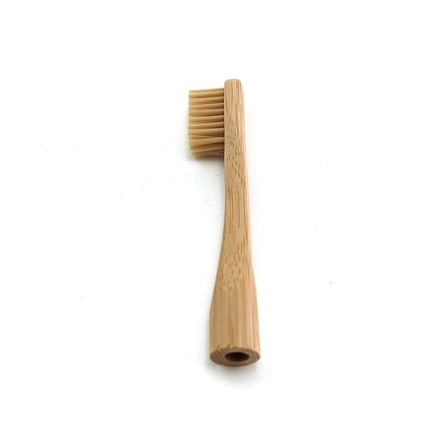 Reusable Bambu Toothbrush