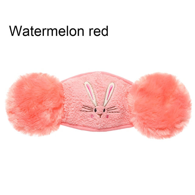 2 in 1 Cute Mask Earmuffs