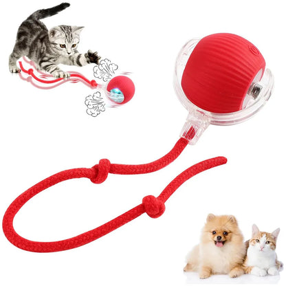 PetPlay Roller For Dogs & Cats