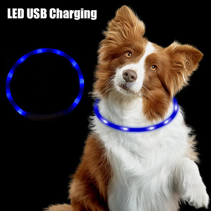 BrightPup Night Safety Collar