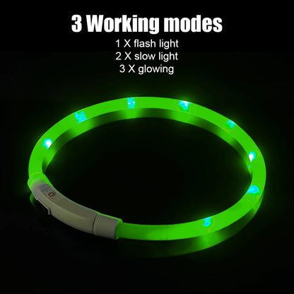 BrightPup Night Safety Collar