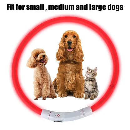 BrightPup Night Safety Collar