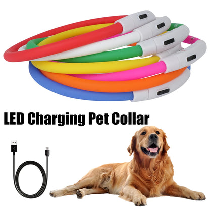 BrightPup Night Safety Collar