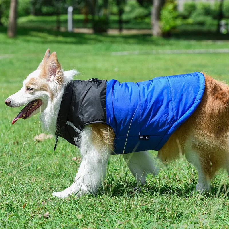 PupShield Pro Jacket