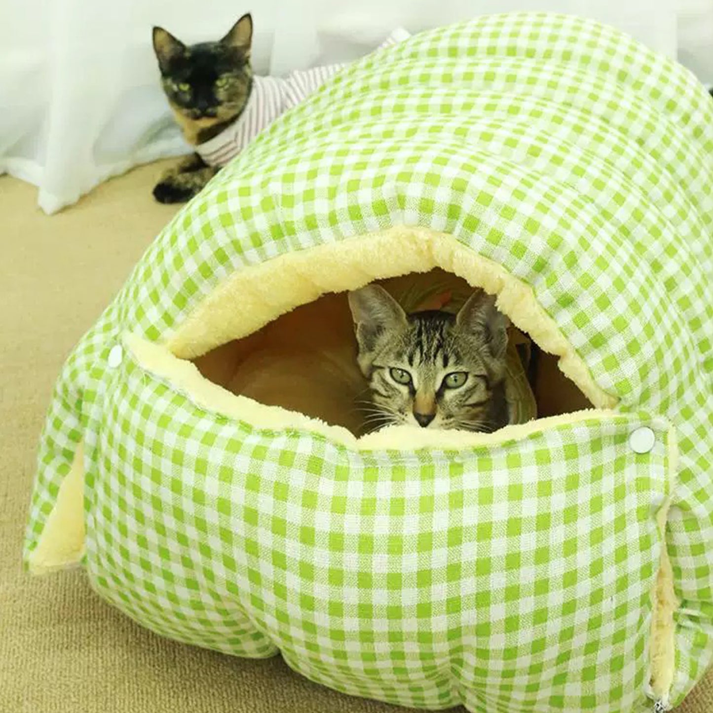Cat SnugglePod