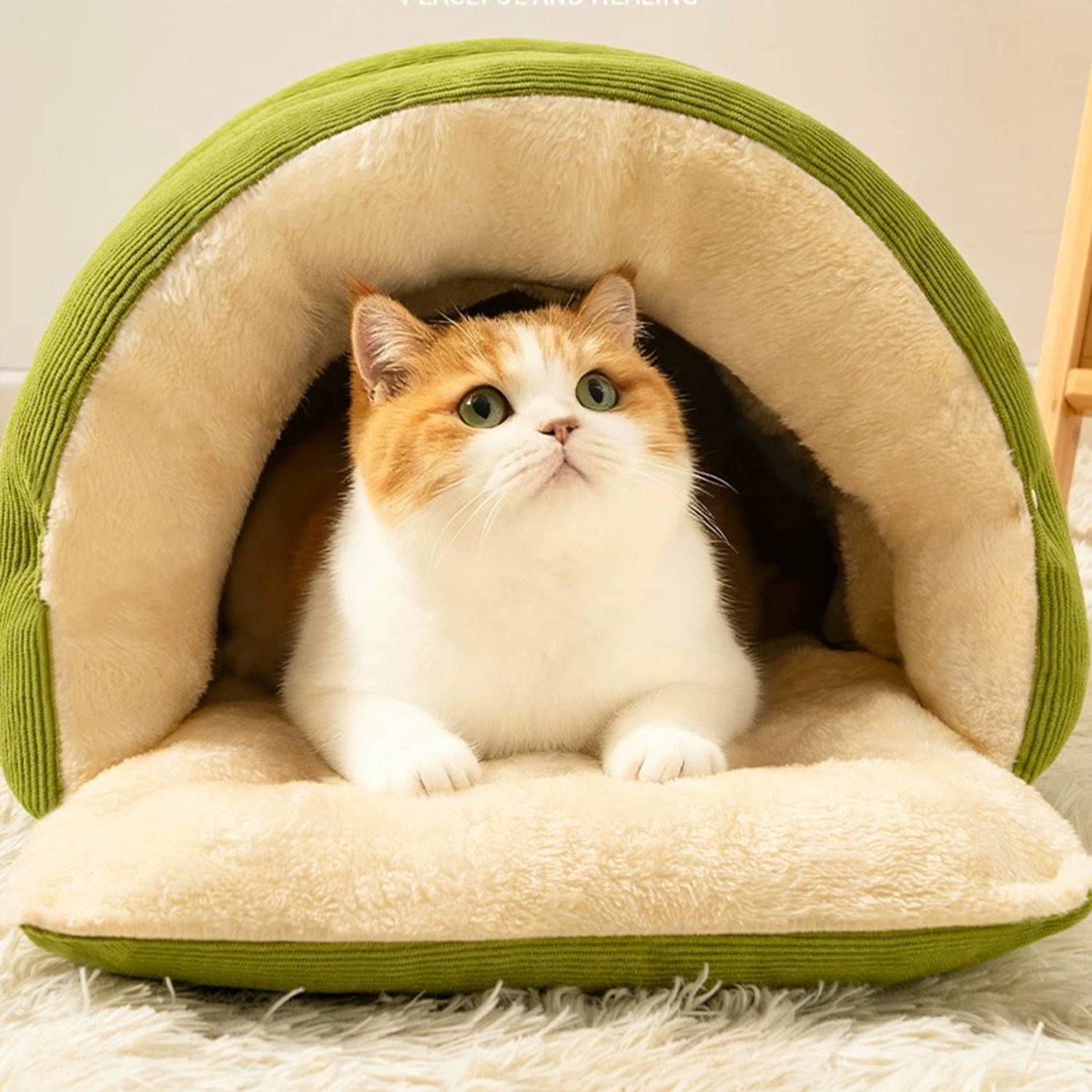 Cat SnugglePod