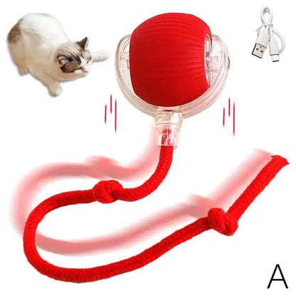 PetPlay Roller For Dogs & Cats