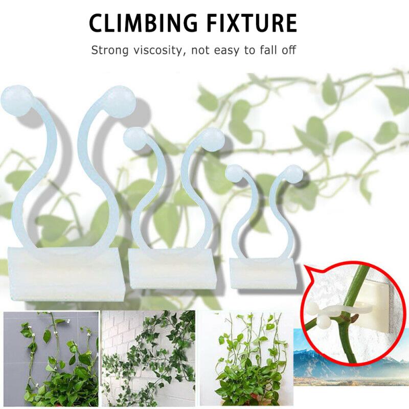 10pcs Invisible Wall Vines Hook