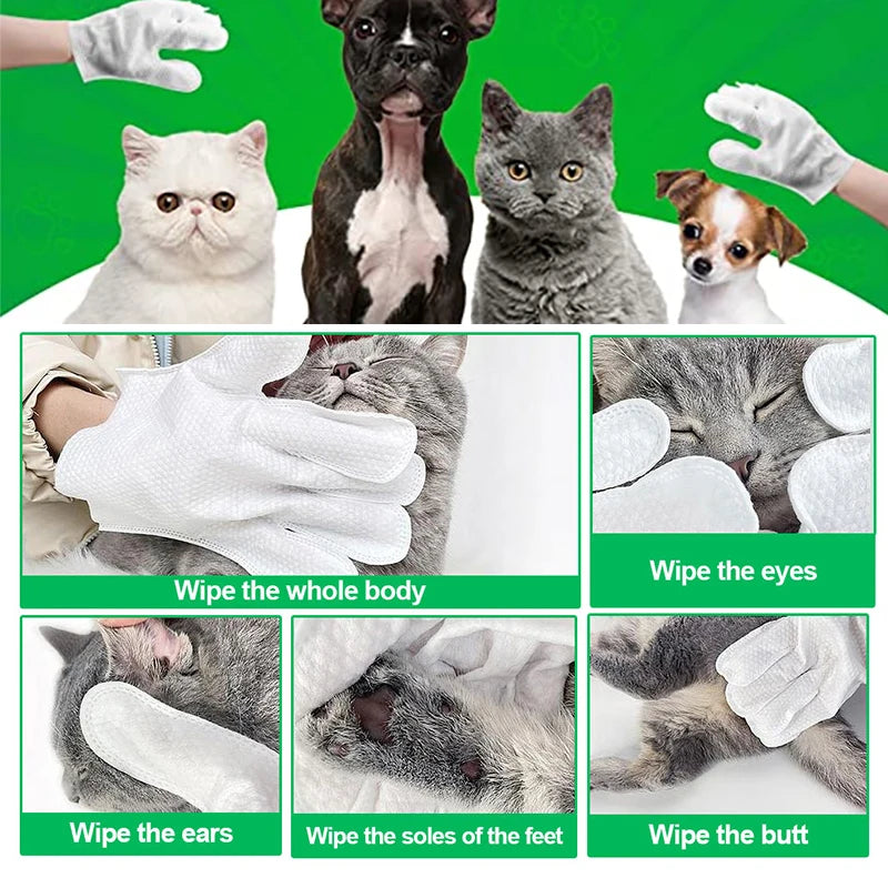 PawSpa Pet Gloves (6Pcs)
