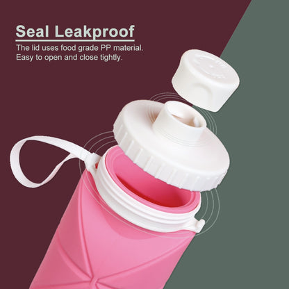 600ml Collapsible Water Bottle