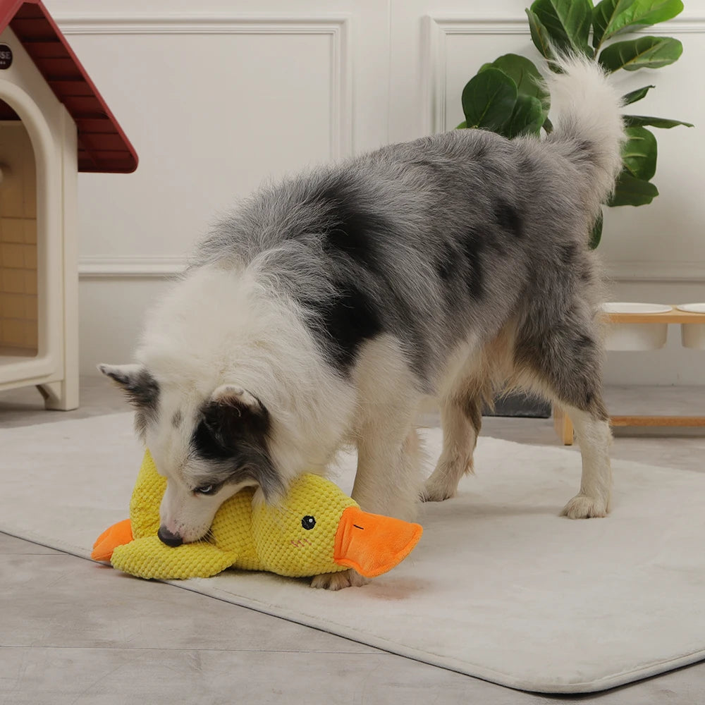 Quack-Quack Duck Dog Toy