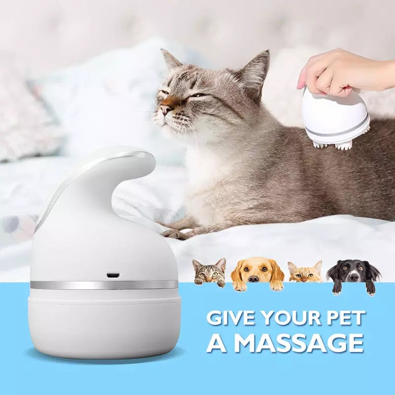 Pet Head Massager