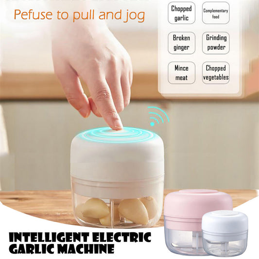 Mini Electric Food Chopper