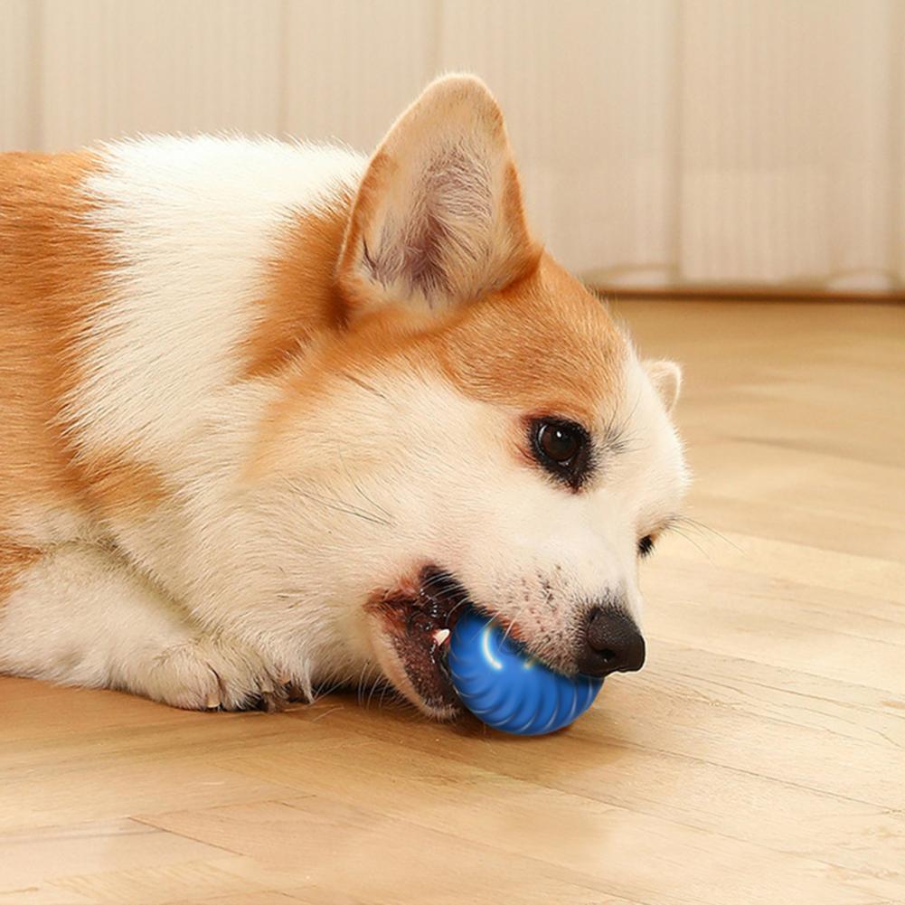 Active Rolling Ball Anti-Anxiety Automatic Moving Ball