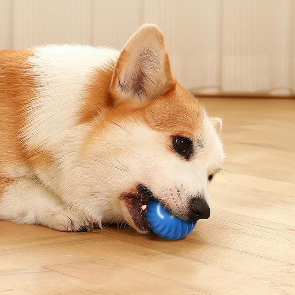 https://zentricshop.com/cdn/shop/products/Pet-Ball-Toy-Smart-Interactive-Dog-Jumping-Ball-Toy-Bite-resistant-Active-Rolling-Ball-Cheerble-Smart_427f3158-3a0c-4dc4-b07d-450ed7ad3e89.jpg?v=1695148306&width=1445