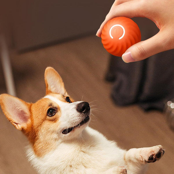 https://zentricshop.com/cdn/shop/products/Pet-Ball-Toy-Smart-Interactive-Dog-Jumping-Ball-Toy-Bite-resistant-Active-Rolling-Ball-Cheerble-Smart_grande.jpg?v=1695148306