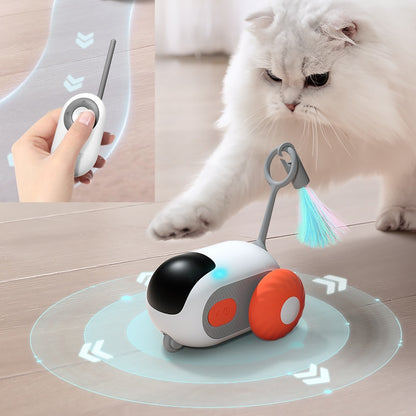 Interactive Pet Toy