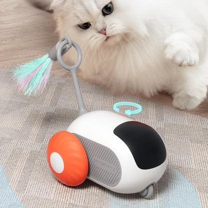 Interactive Pet Toy